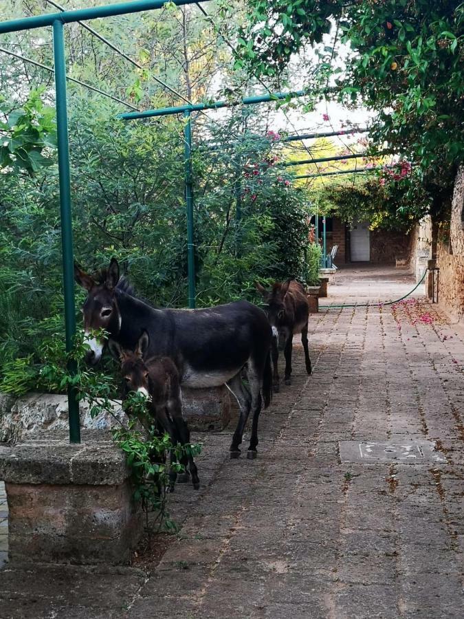 Masseria Provenzani Villa Trepuzzi Exteriör bild